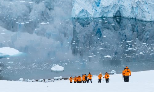 Antarctica Cruise - Expedition
